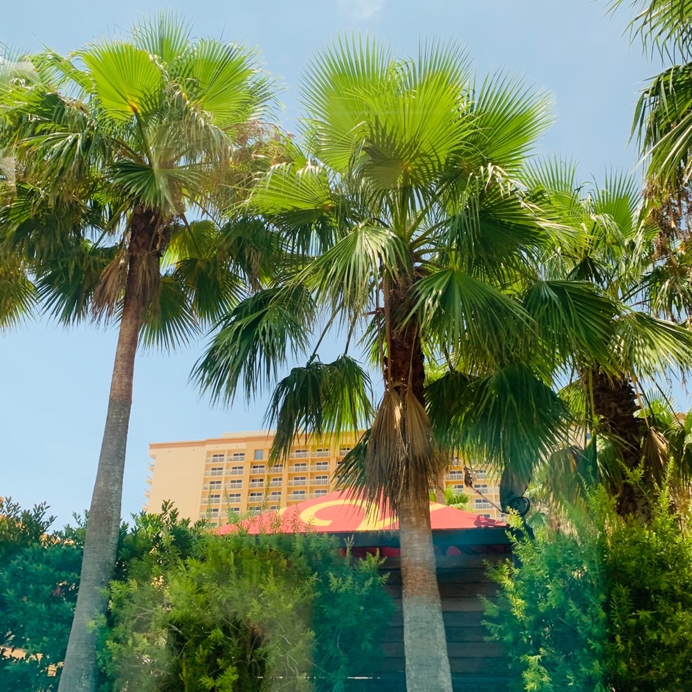 Meet your Posher, Renate